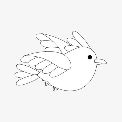 飞行在空中的鸟儿简笔画