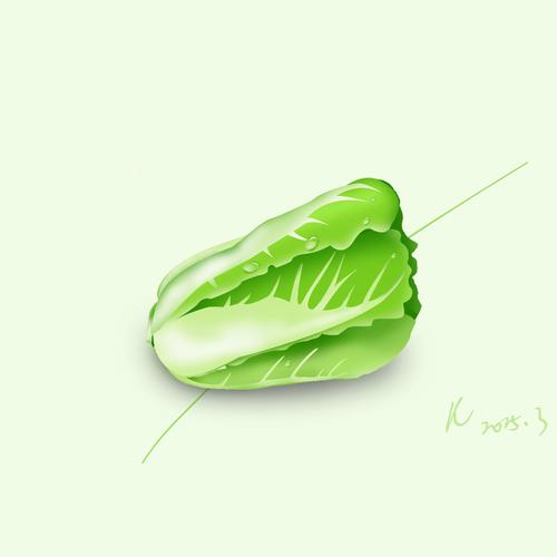 白菜图标