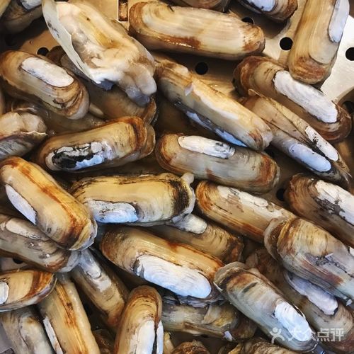 宝燕海货工场三店煮海海鲜鲜牛锅(大宁店)图片 - 第6张