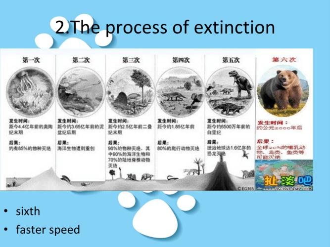 物种灭绝英语.pptx 10页