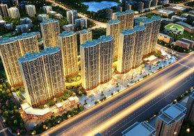 碧桂园黄金时代