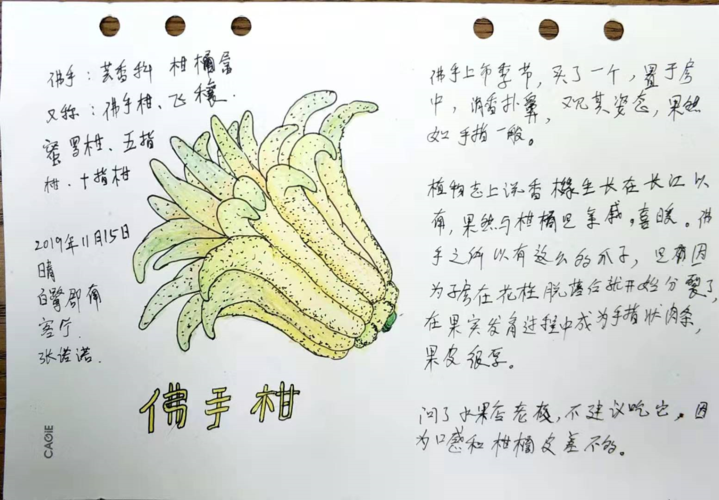 自然笔记