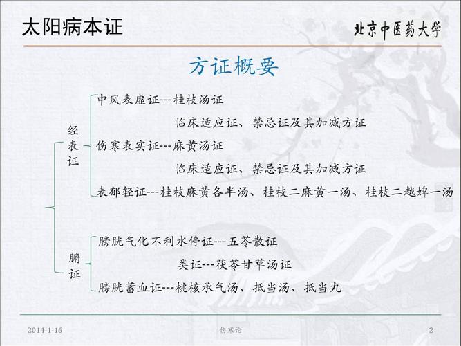 太阳病篇总结及病案讨论ppt