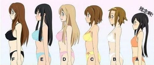 文胸尺码中的abcdef各指什么|胸罩|e罩杯|软尺_网易