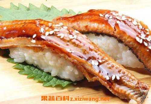 长江鳗鱼的功效与作用