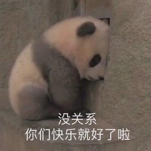 没关系 你们快乐就好了啦_没关系_你们_快乐表情