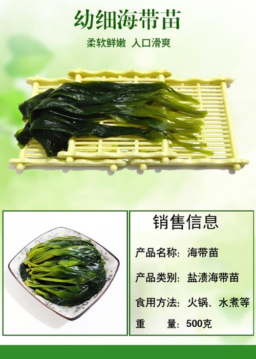 霞浦海带苗新鲜盐渍非裙带菜特级干货小海带芽嫩幼苗火锅食材1斤