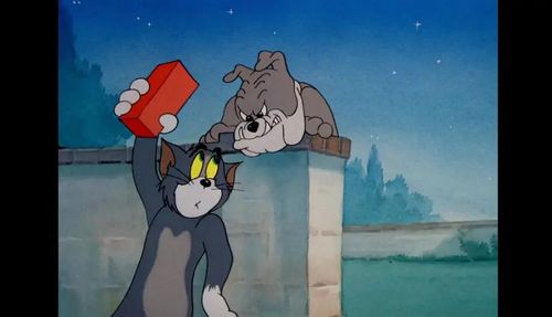 最长情的cp相互追逐了81年元宵节猫和老鼠真人版电影来了