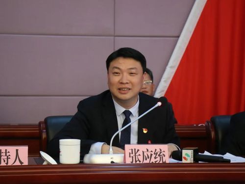 丹灶镇党委书记张应统讲话. 一图读懂丹灶2021发展大计