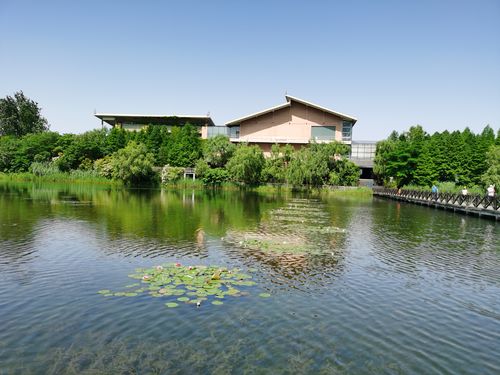 兴化泰州四日游(四):溱湖公园景致美,古镇溱潼景点多!