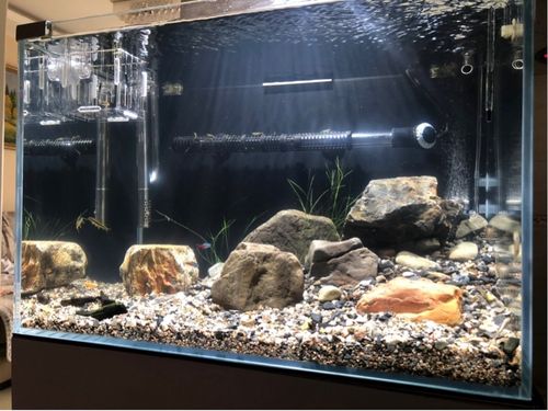 溪流天然底砂精选搭配套餐原生石鱼缸鱼缸溪沙造景