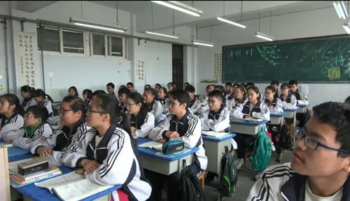 欢迎报考开封市第十三中学!