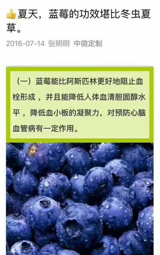 吃蓝莓对身体有哪些好处