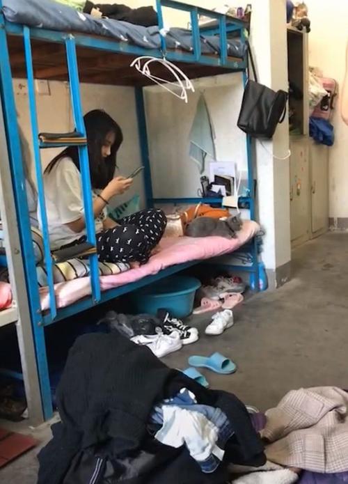 在大部分人们的认识中,女生都是比较干净的,就连住的宿舍也是干净整洁