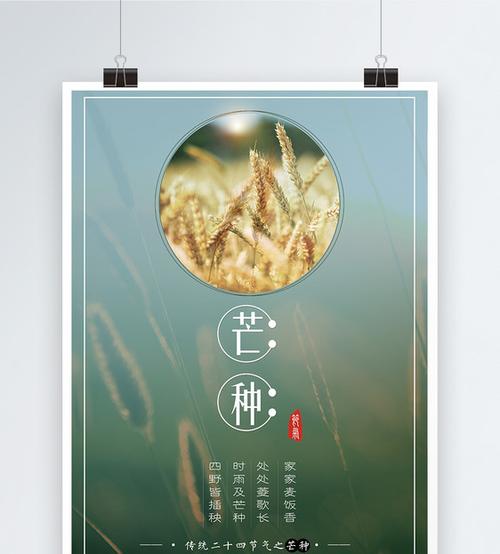 芒种二十四节气海报