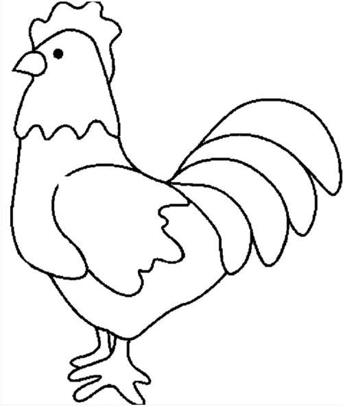 鸡的简笔画图片大全_鸡的画画简笔画图片