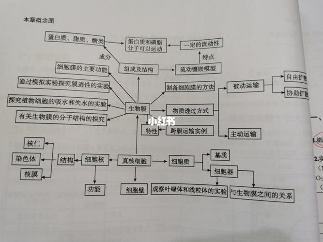 高中生物必修一 思维导图/概念图_思维导图_高考_高中