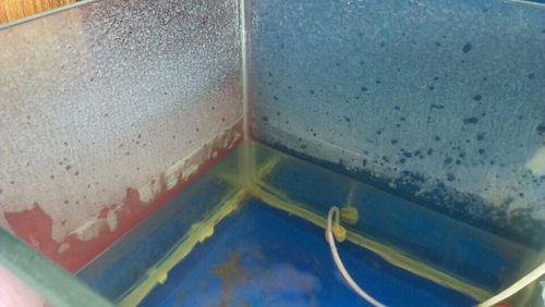 鱼缸上的污渍擦不掉,看图,请大神支招 重谢