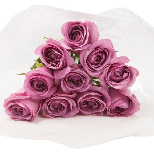 单枝10朵玫瑰办公室家庭插花香槟红白紫玫瑰鲜花混搭北京鲜花速递