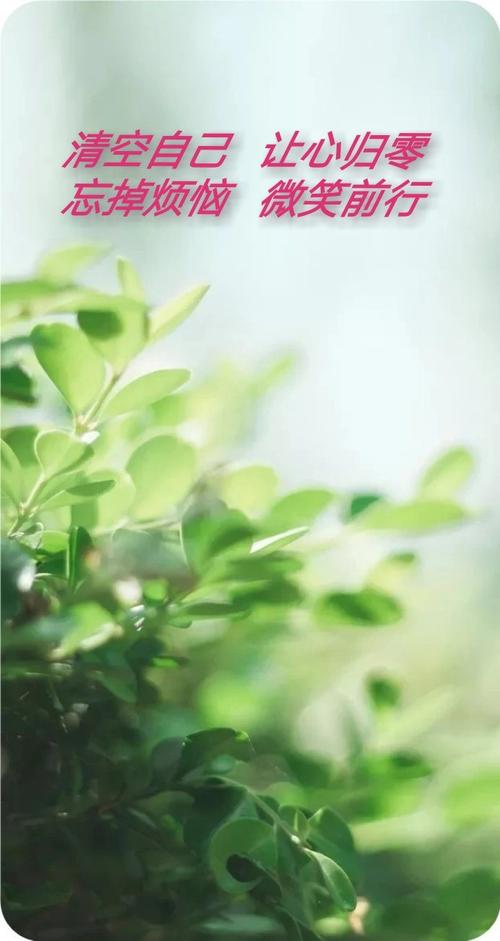 清空自己,让心归零;忘掉烦恼,微笑前行
