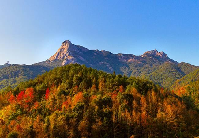 【风花雪叶】韶关醉红枫叶季 登顶珠三角第一峰云髻山
