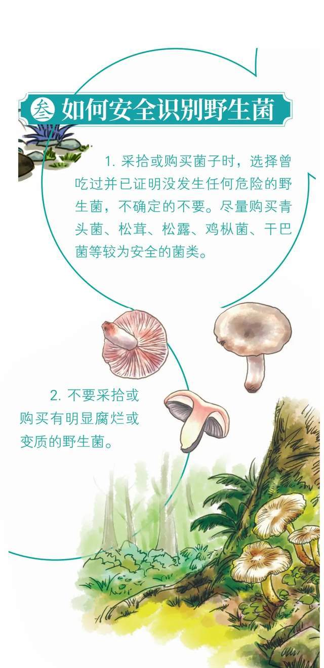 预防野生菌中毒预警公告