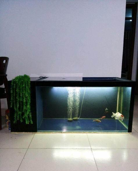 闲置鱼缸/地缸