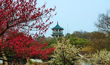 无锡梅园门票团购,无锡梅园团购