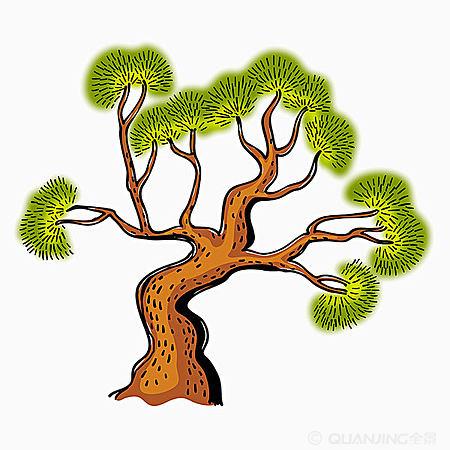 彩色松树简笔画