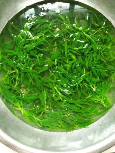 凉拌扫帚菜(2/4)