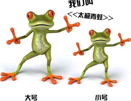 3d立体真实感搞笑青蛙车贴/逼真个性汽车贴纸壁虎车贴后视镜拉花