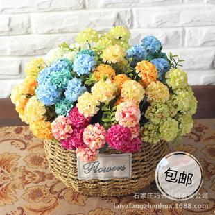 龙凤花