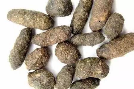 那些你一想就歪的中药