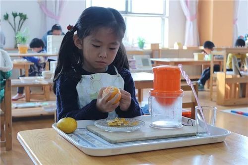 蒙台梭利日常生活教育的重要性