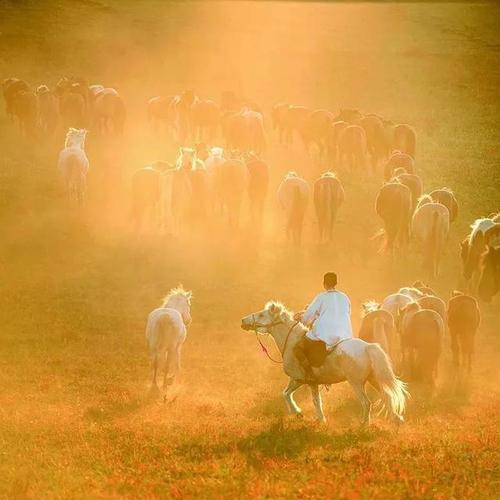 张东海《沐马》 zhang donghai   horse breeding