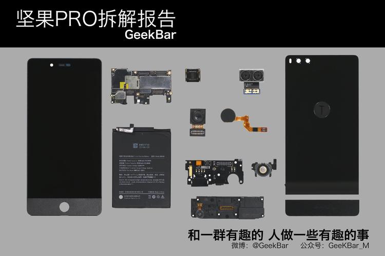 瑞丽异类的内在 锤子坚果pro详尽拆解