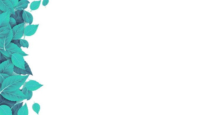 精美绿叶叶子ppt背景图片