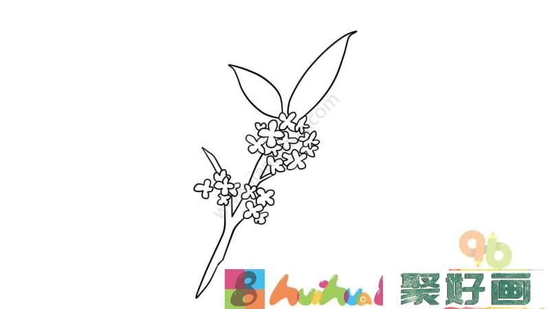 桂花的简笔画步骤,桂花简笔画图片大全,桂花简笔画儿童画