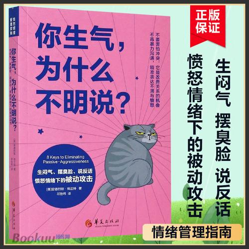 你生气为什么不明说生闷气摆臭脸说反话愤怒情绪下的被动攻击女性书籍