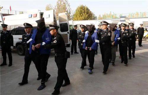 【督查资讯】全警出动,全力以赴!淄川公安"亮剑六打"战果丰硕