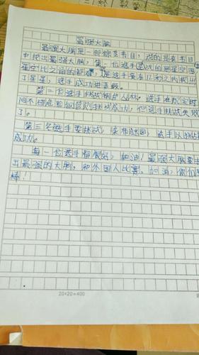 最强大脑观后感