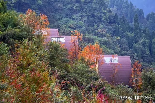 四川德阳什邡川西红枫岭记忆