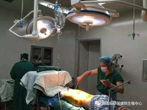 进行睾丸显微取精手术