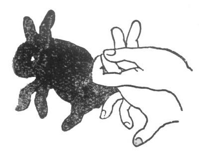 儿童手影游戏手工制作大全小兔子