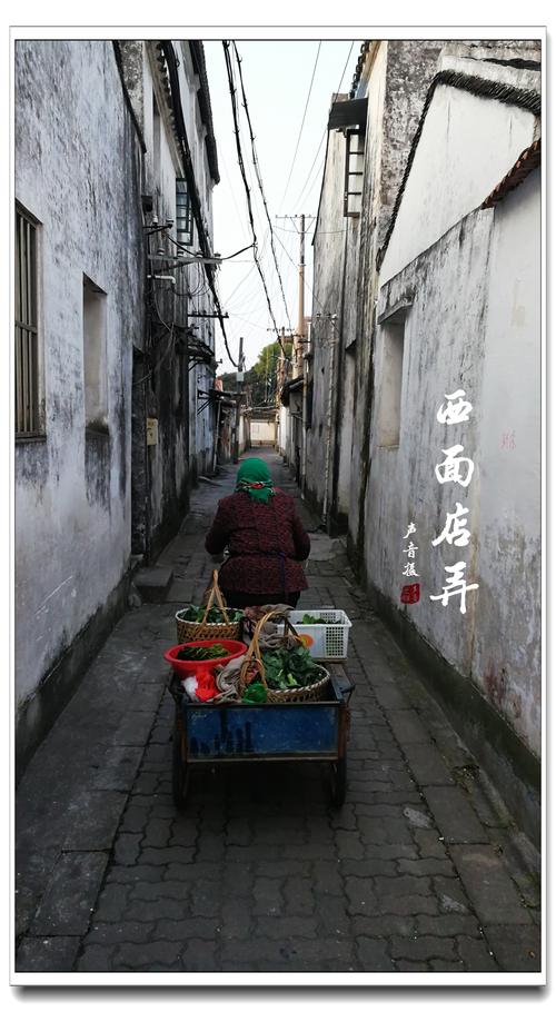 《虞城街巷》02——(西城)