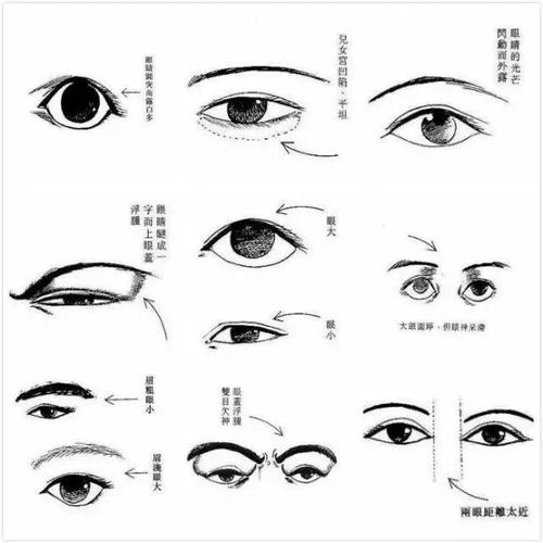 1  《麻衣相法》谓:"眼如日月要分明,凤目龙睛切要清.