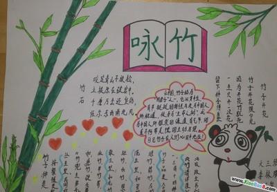 跟竹子有关的手抄报 关于竹子的手抄报