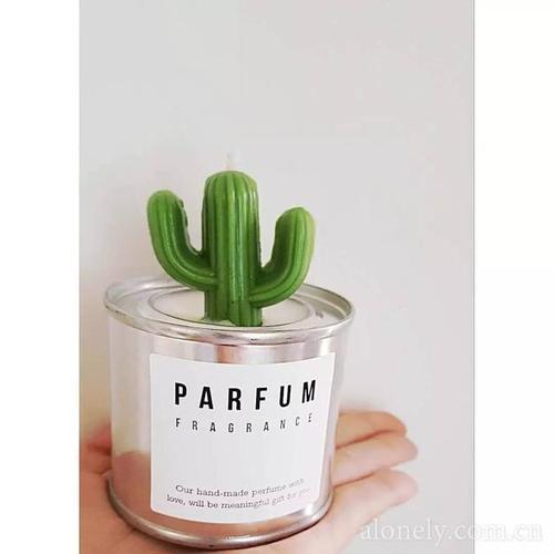 一个人拥抱仙人掌的图片(3)