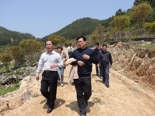 南安市旅游局局长李长青一行人深入向阳乡落实党代表提案并开展群众