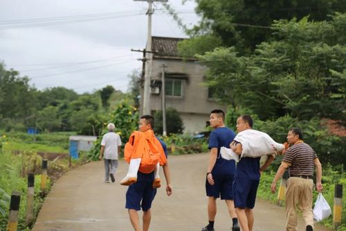 入夏摘除1100多个马蜂窝,内江消防员成"追蜂人"